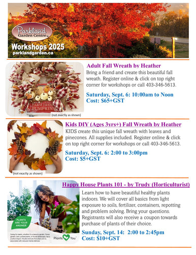 Happy House Plants 101 - Sunday, Sept.14 from 2:00 to 2:45pm