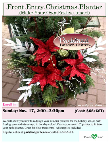 Front Entry Christmas Planter (Make Yr Own Insert) - Nov 16: 2-3:30pm