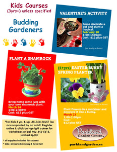 Kids Course Plant A Shamrock: March 14 from 1:00 to 2:00pm