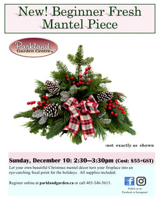 Beginners Fresh Mantel Piece: Sunday, Dec. 10 from 2:30 to 3:30pm
