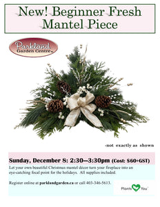 Beginners Fresh Mantel Piece - Dec 8 from 2:30 to 3:30pm