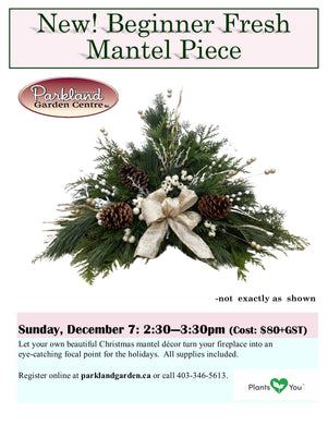 Beginners Fresh Mantel Piece - Dec 7 from 2:30 to 3:30pm