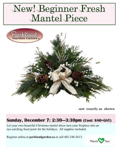 Beginners Fresh Mantel Piece - Dec 7 from 2:30 to 3:30pm