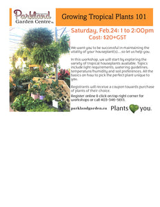 Growing Tropical Plants 101 - February 24 from 1:00 to 2:00pm